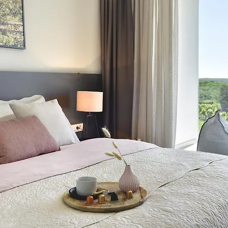 Villa Charming Rosinjola Nova Vas (Brtonigla)